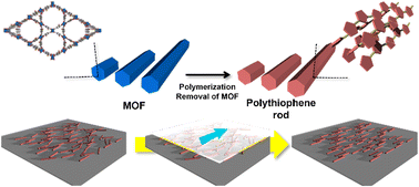 Graphical abstract: Preferential orientation of anisotropic polythiophene rods toward macroscopic chain ordering