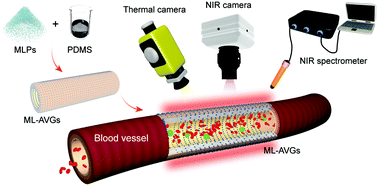 Graphical abstract: Monitoring cardiovascular disease severity using near-infrared mechanoluminescent materials as a built-in indicator