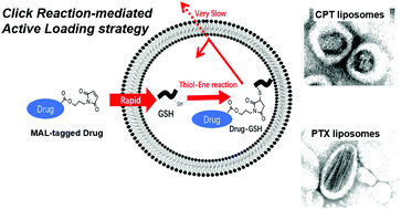 Graphical abstract: Remote drug loading into liposomes via click reaction