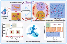 Graphical abstract: A bio-inspired, ultra-tough, high-sensitivity, and anti-swelling conductive hydrogel strain sensor for motion detection and information transmission