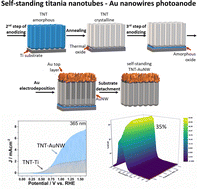 Graphical abstract: Ultra-stable self-standing Au nanowires/TiO2 nanoporous membrane system for high-performance photoelectrochemical water splitting cells