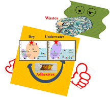 Graphical abstract: Exploiting valuable supramolecular materials from waste plastics