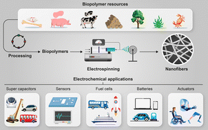 Graphical abstract: Biopolymer-based electrospun fibers in electrochemical devices: versatile platform for energy, environment, and health monitoring