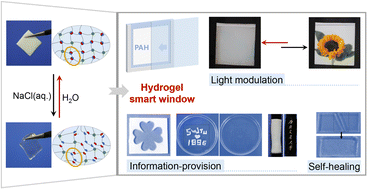 Graphical abstract: A salt-triggered multifunctional smart window derived from a dynamic polyampholyte hydrogel