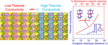 Graphical abstract: Tailoring the thermal conductivity of two-dimensional metal halide perovskites