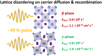 Graphical abstract: Lattice disorder influences the photocarrier dynamics in lead halide perovskites