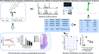 Graphical abstract: The application of omics techniques to evaluate the effects of Tanshinone IIA on dextran sodium sulfate induced ulcerative colitis