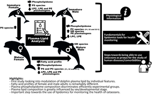 Graphical abstract: The plasma phospholipidome of the bottlenose dolphin (Tursiops truncatus) is modulated by both sex and developmental stage