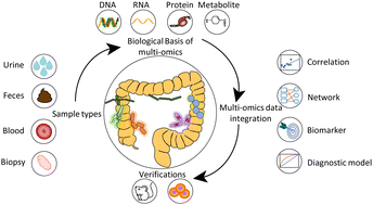 Graphical abstract: Multi-omics insights into the interplay between gut microbiota and colorectal cancer in the “microworld” age