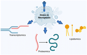 Graphical abstract: Omics approaches to better understand the molecular mechanism of necroptosis and their translational implications