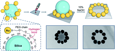 Graphical abstract: Gold nanoparticle ring arrays from core–satellite nanostructures made to order by hydrogen bond interactions