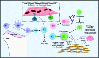 Graphical abstract: Recent advances in nanoparticle-based drug delivery systems for rheumatoid arthritis treatment