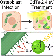  Photoactivated antibiotics to treat intracellular infection of bacteria