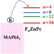 Graphical abstract: Impact of fluorination on the energy level alignment of an FnZnPc/MAPbI3 interface