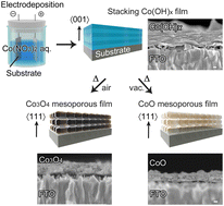 Graphical abstract: Oriented growth of stacking α-cobalt hydroxide salt continuous films and their topotactic-like transformation to oriented mesoporous films of Co3O4 and CoO
