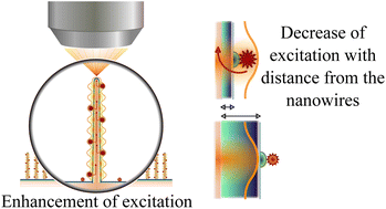 Graphical abstract: Fluorescence excitation enhancement by waveguiding nanowires