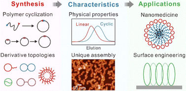Graphical abstract: Cyclic polymers: synthesis, characteristics, and emerging applications