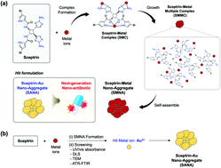 Graphical abstract: Sceptrin–Au nano-aggregates (SANA) for overcoming drug-resistant Gram-negative bacteria