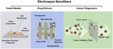 Graphical abstract: Electrospun nanofibers for 3-D cancer models, diagnostics, and therapy