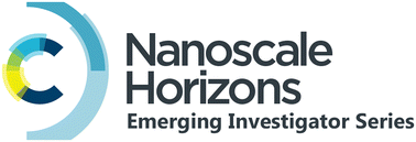 Graphical abstract: Introducing the Nanoscale Horizons Emerging Investigator Series