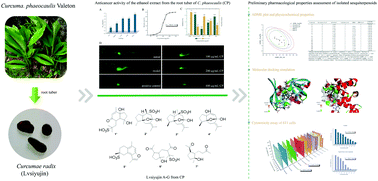 Graphical abstract: Lvsiyujins A–G, new sesquiterpenoids, from Curcuma phaeocaulis Valeton root tuber and their preliminary pharmacological property assessment based on ADME evaluation, molecular docking and in vitro experiments