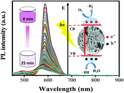 Graphical abstract: Role of urea on the structural, textural, and optical properties of macroemulsion-assisted synthesized holey ZnO nanosheets for photocatalytic applications