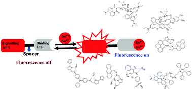 Graphical abstract: Recent advances in tin ion detection using fluorometric and colorimetric chemosensors