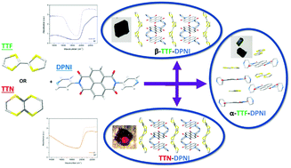 Graphical abstract: Charge transfer in mixed and segregated stacks of tetrathiafulvalene, tetrathianaphthalene and naphthalene diimide: a structural, spectroscopic and computational study