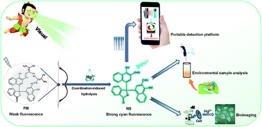 Graphical abstract: An α-naphtholphthalein-derived colorimetric fluorescent chemoprobe for the portable and visualized monitoring of Hg2+ by the hydrolysis mechanism