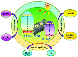 Graphical abstract: Hematite nanoparticles decorated nitrogen-doped reduced graphene oxide/graphitic carbon nitride multifunctional heterostructure photocatalyst towards environmental applications