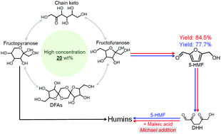 Graphical abstract: Insight into the dehydration of high-concentration fructose to 5-hydroxymethylfurfural in oxygen-containing polar aprotic solvents