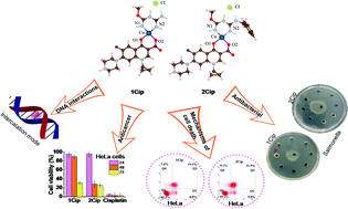 Graphical abstract: Mixed-ligand copper(ii) complexes of guanidine derivatives containing ciprofloxacin: synthesis, characterization, DFT calculations, DNA interactions and biological activities
