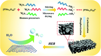 Graphical abstract: Synergistically coupling P-doped Mo2C@N, P dual-doped carbon-nanoribbons as an efficient electrocatalyst for the hydrogen evolution reaction