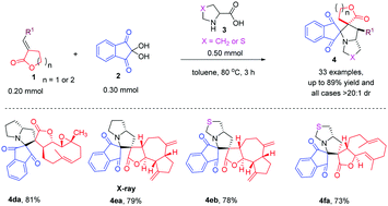 Graphical abstract: Diastereoselective construction of a library of structural bispiro[butyrolactone/valerolactone–pyrrolidine–indanedione] hybrids via 1,3-dipolar cycloaddition reactions