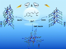 Graphical abstract: Zinc(ii) Schiff base complexes as dual probes for the detection of NH4+ and HPO42− ions