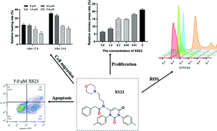 Graphical abstract: Design and synthesis of 1,3-diphenylpyrimidine-2,4(1H,3H)-dione derivatives as antitumor agents via elevating ROS production to induce apoptosis