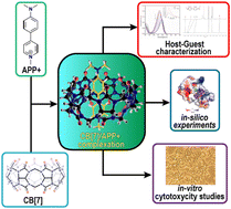 Graphical abstract: Host–guest complexation of APP+ with cucurbit[7]uril. Theoretical and experimental studies on the supramolecular inhibition of its cytotoxicity on SERT