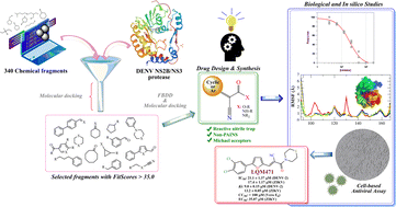 Graphical abstract: Fragment-based design of α-cyanoacrylates and α-cyanoacrylamides targeting Dengue and Zika NS2B/NS3 proteases