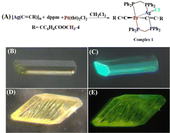 Graphical abstract: A novel heterometallic platinum(ii)–silver(i) alkynyl complex [PtAg(dppm)2(C [[triple bond, length as m-dash]] CC6H4COOCH3-4)2Cl] with two crystal morphologies exhibiting morphology-dependent photoluminescence