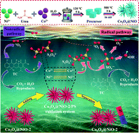 Graphical abstract: Insights into the degradation of emerging organic pollutants by peroxydisulfate activated with Co3O4@NiO: role of each component and catalytic mechanism