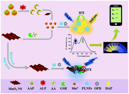 Graphical abstract: A target-induced inner-filter effect-based ratiometric sensing platform by fluorescence modulation of persistent luminescent nanoparticles and 2,3-diaminophenazine