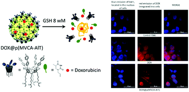 Graphical abstract: A glutathione responsive nanocarrier based on viologen resorcinarene cavitand and 1-allylthymine