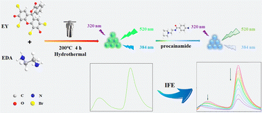 Graphical abstract: Internal dual-emissive carbon dots for the double-signal detection of procainamide