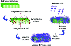 Graphical abstract: Synthesis and characterization of Fe0@chitosan/cellulose biocompatible composites from natural resources as advanced carriers for ibuprofen drug: reaction kinetics and equilibrium