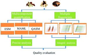 Graphical abstract: Multiple fingerprints and quantitative analysis for comprehensive quality evaluation of Citri reticulatae pericarpium within different storage years