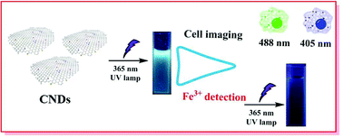 Graphical abstract: Facile and green synthesis of carbon nanodots from environmental pollutants for cell imaging and Fe3+ detection
