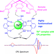 Graphical abstract: Circularly polarized luminescence of encaged Eu(iii) and Tb(iii) complexes controlled by an inherently chiral remote unit