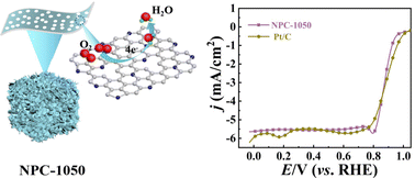 Graphical abstract: Fabricating 3D ultra-thin N-doped porous graphene-like catalysts based on polymerized amino acid metal chelates as an efficient oxygen electrocatalyst for Zn-air batteries