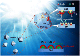 Graphical abstract: An efficient hydrogen evolution photocatalyst of Rh@Cr2O3-loaded PbMoO4 twenty-six facet polyhedrons