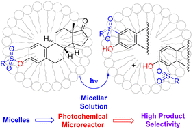 Graphical abstract: Product selectivity in the photoreaction of aryl sulfonates and mesylate of estrone derivatives in sustainable and micellar media: a steady-state investigation